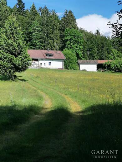 Bauernhaus zum Kauf 450.000 € 5 Zimmer 100 m² 32.000 m² Grundstück Weidhütte Hohenau 94545
