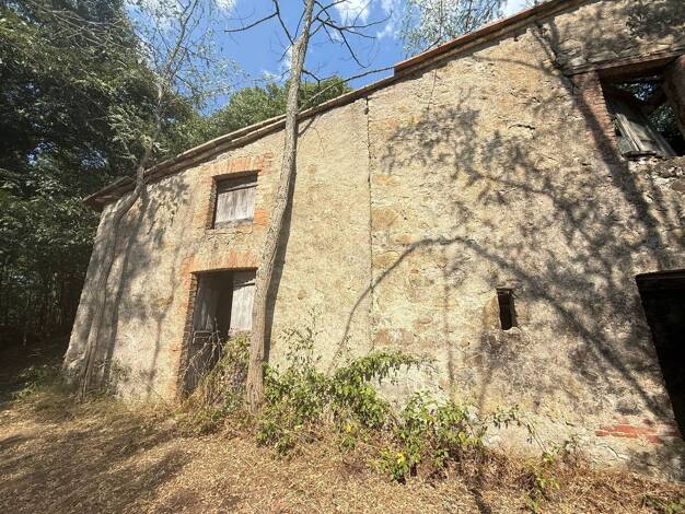 Grundstück zum Kauf 155.000 € 10.000 m² Grundstück großes Wohnhaus zum Wiederaufbau Massa Marittima 58024