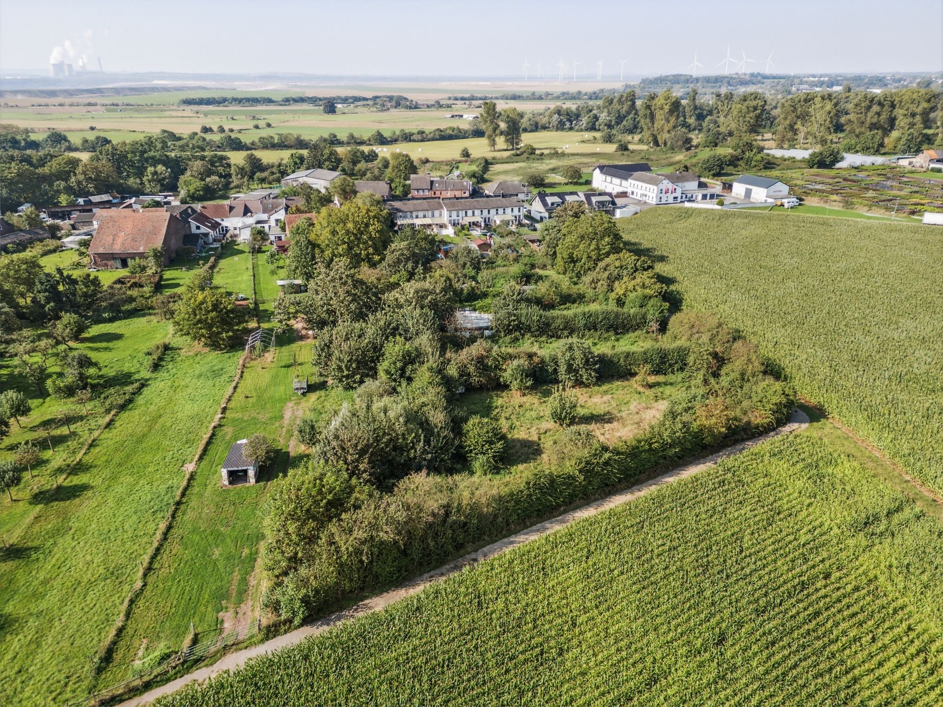 Gewerbegrundstück zum Kauf 650.000 € 5.253 m²<br/>Grundstück Altenburg Jülich 52428