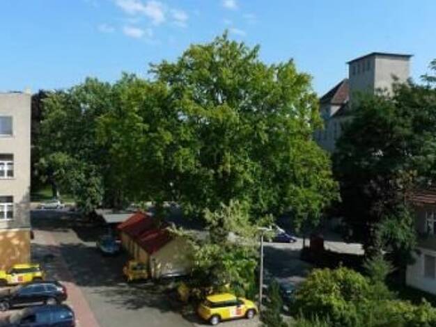 Wohnung zur Miete 380 € 1 Zimmer 38 m² 2. Geschoss Ostrower Damm 10 Mitte Cottbus 03046