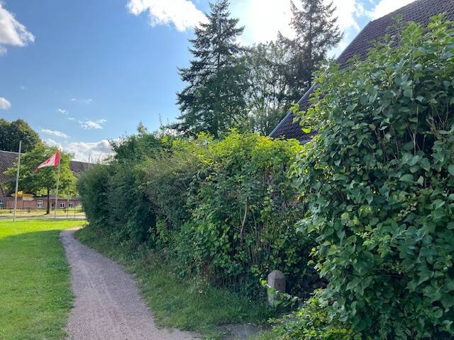 Mehrfamilienhaus zum Kauf - Ansicht 5