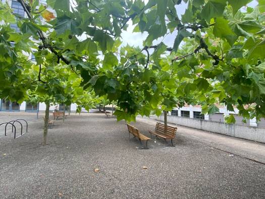 Wohnung zum Kauf als Kapitalanlage geeignet 149.000 € 2 Zimmer 50,4 m² Gottmadingen 78244