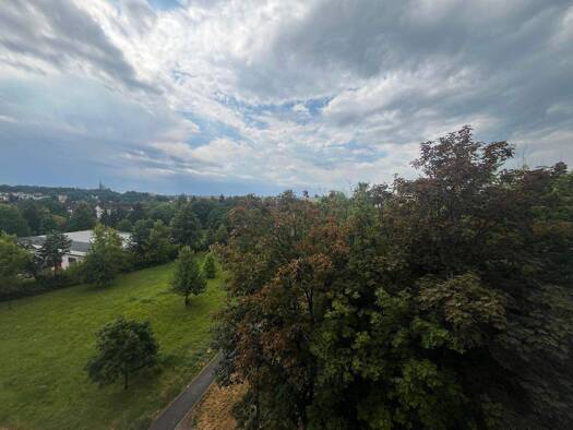 Studio zur Miete 234 € 1 Zimmer 35 m² 4. Geschoss frei ab sofort Neuplanitzer Straße 37 Neuplanitz Zwickau 08062