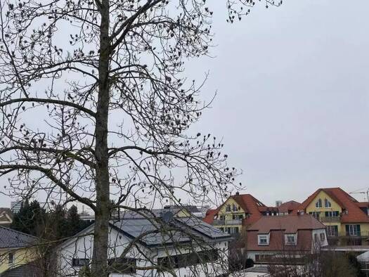 Wohnung zur Miete 640 € 2 Zimmer 52 m² Geschoss 2/3 frei ab sofort Ingolstadt 85055