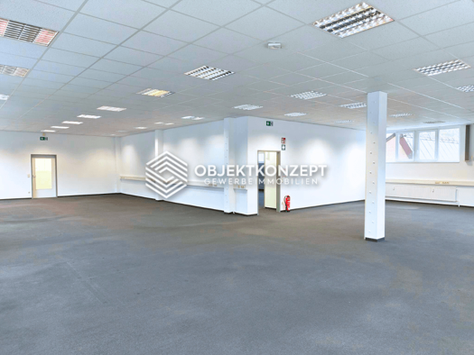 Büro zur Miete 1.500 m² Bürofläche teilbar ab 252 m² Oberndorf Oberndorf am Neckar 78727