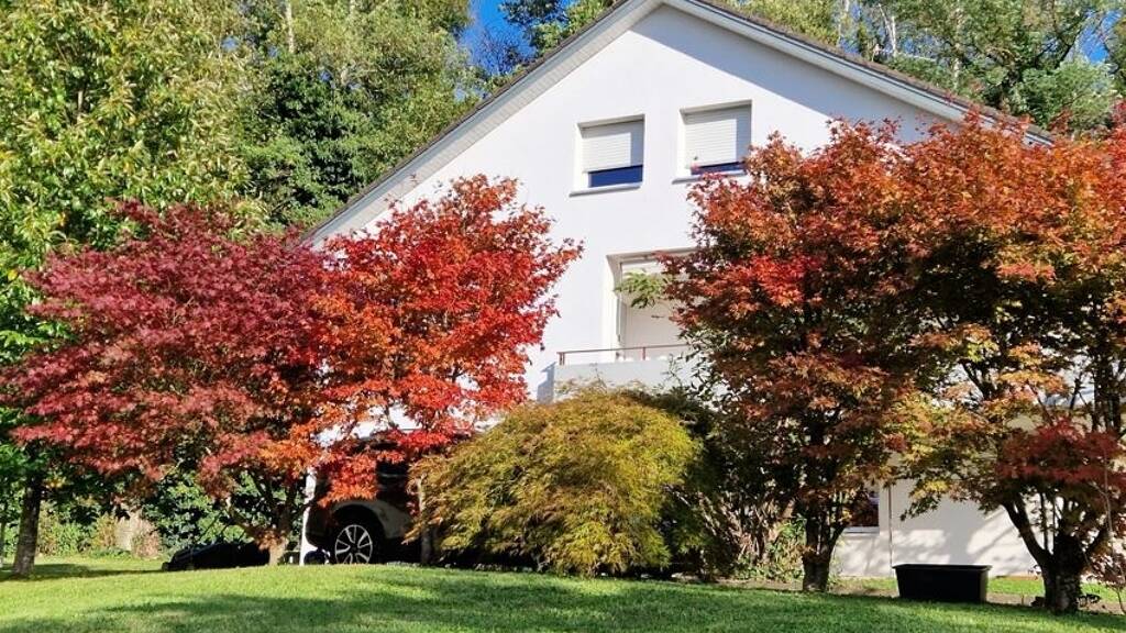 Mehrfamilienhaus zum Kauf 832.000 € 6 Zimmer 225 m² 1.060 m² Grundstück Wyhlen Grenzach-Wyhlen 79639