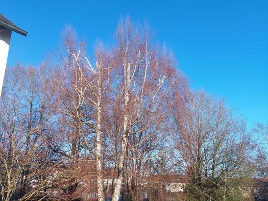 Wohnung zur Miete 925 € 3 Zimmer 80 m² Geschoss 2/3 frei ab sofort Hechingen 72379