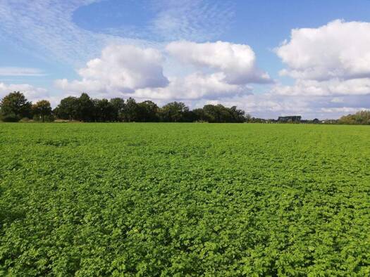 Landwirtschaftliche Fläche zum Kauf 22.638 m² Farsleben Wolmirstedt 39326