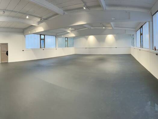 Bürofläche zur Miete provisionsfrei 3,50 € 350 m² Bürofläche teilbar ab 120 m² Weidhausen Weidhausen b.Coburg 96279