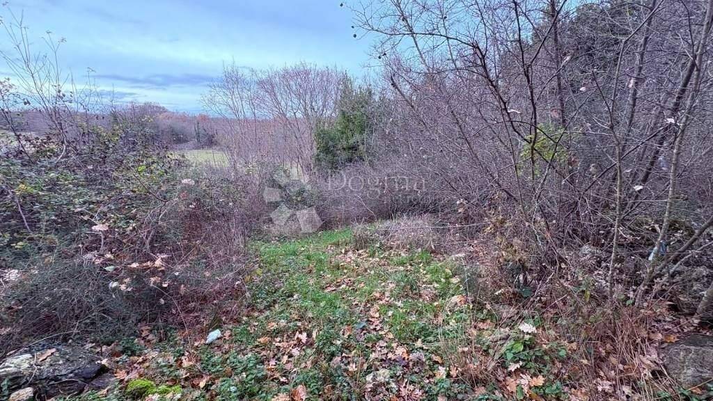 Land-/Forstwirtschaft zum Kauf 95.000 € Malinska-Dubasnica