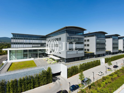 Bürofläche zur Miete 13,50 € 7.757,2 m² Bürofläche teilbar ab 380 m² Schwalbach am Taunus 65824