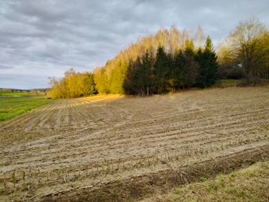 Land-/Forstwirtschaft zum Kauf 160.000 € 16.866 m² Grundstück Baldershausen Pfeffenhausen 84076