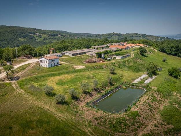 Bauernhaus zum Kauf 1.450.000 € 49 Zimmer 248 m² 331.800 m² Grundstück Cannara 6033