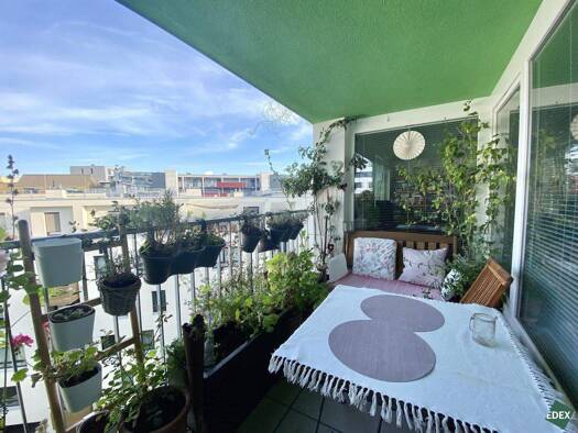 Terrassenwohnung zur Miete 783 € 2 Zimmer 6. Geschoss Rieplstraße Wien 1100