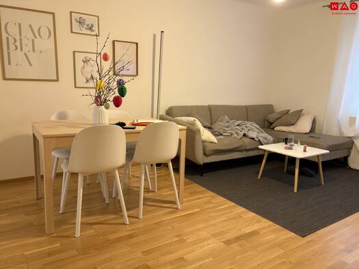 Wohnung zur Miete 417 € 4 Zimmer 77,2 m² 1. Geschoss frei ab 01.07.2026 Lannergasse Hinterberg Steyr 4400