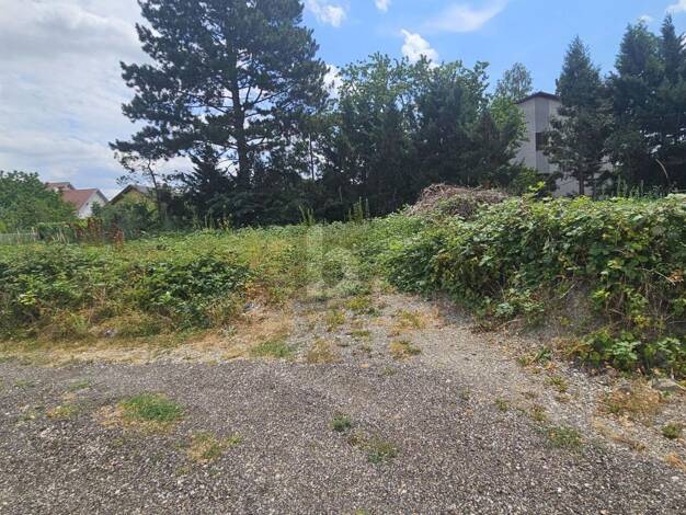 Grundstück zum Kauf 495.000 € 623 m² Grundstück Bisamberg 2102