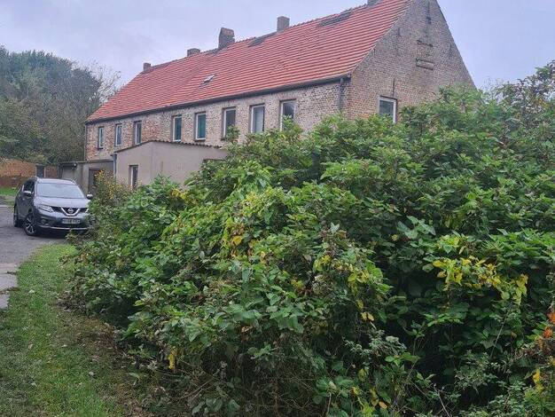 Mehrfamilienhaus zum Kauf provisionsfrei 325.000 € 10 Zimmer 300 m² 3.087 m² Grundstück Bischofsdorf Wiek 18556