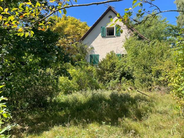 Einfamilienhaus zum Kauf 299.000 € 5 Zimmer 145 m² 1.559 m² Grundstück Geroda 97779