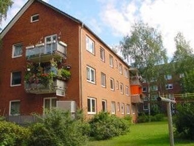 Wohnung zur Miete 615 € 3 Zimmer 63,7 m² frei ab 12.10.2024 Gorch-Fock-Weg 4 Düneberg - Nord, Bez. 2 Geesthacht 21502