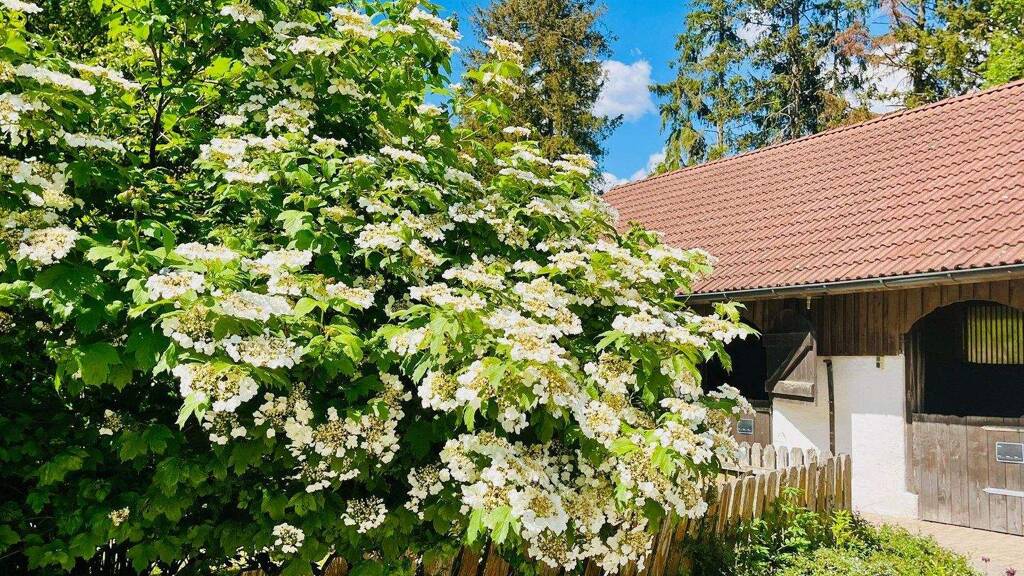 Land-/Forstwirtschaft zum Kauf 200.000 m² Stockach 78333