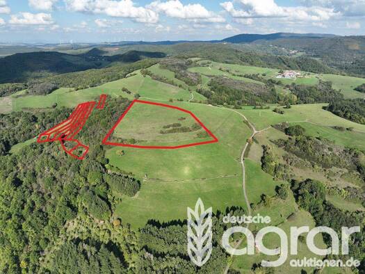 Land-/Forstwirtschaft zum Kauf 35.950 € 54.844 m² Grundstück Schweisweiler 67808