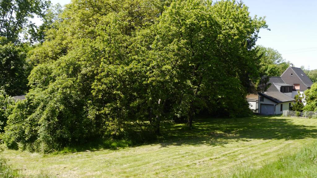 Grundstück zum Kauf 220.000 € 833 m² Grundstück Holzen Schwerte 58239