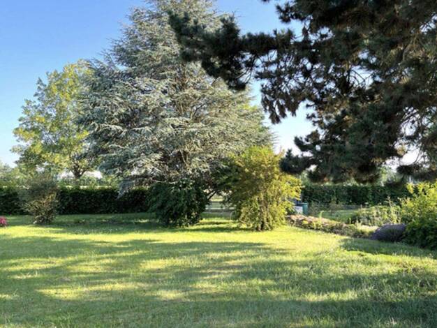 Bungalow zum Kauf provisionsfrei 420.000 € 5 Zimmer 104 m² 962 m² Grundstück Dillingen 89407