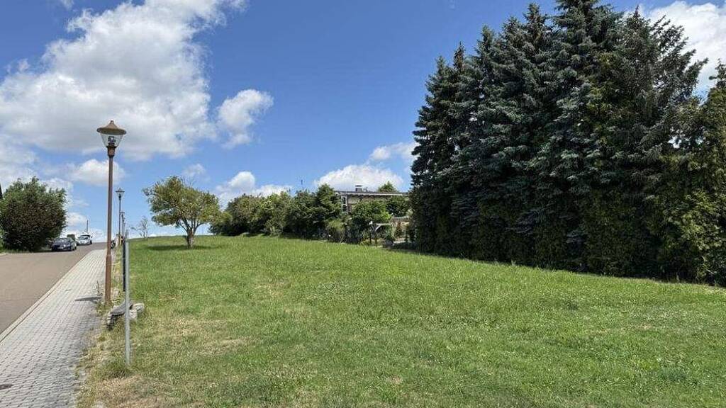 Grundstück zum Kauf 22.250 € 494 m² Grundstück Ehrenberg Altenburg / Mockzig 04600