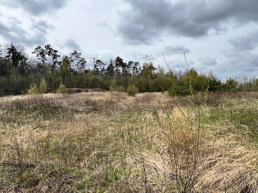 Gewerbegrundstück zum Kauf 449.000 € 4.763 m² Grundstück Neustadt Neustadt an der Aisch 91413