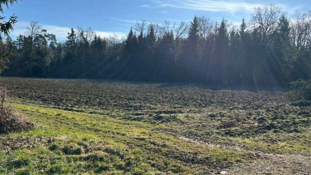 Grundstück zum Kauf 75.000 € 12.208 m² Grundstück Rabenhof 8423