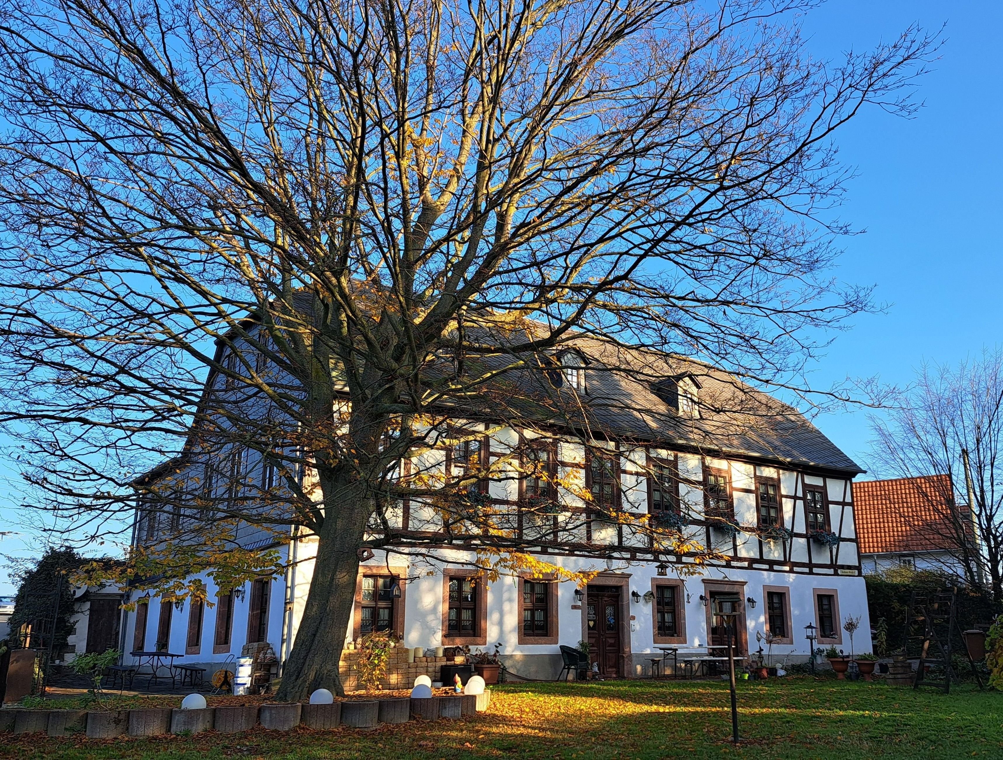 Mehrfamilienhaus zum Kauf als Kapitalanlage geeignet 250.000 € 260 m²<br/>Wohnfläche 687 m²<br/>Grundstück Seelitz Seelitz 09306