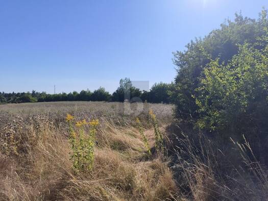 Grundstück zum Kauf 850.000 € 60.260 m² Grundstück Geithain Geithain 04643