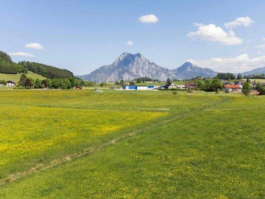 Einfamilienhaus zum Kauf 994.000 € 200 m² 1.306 m² Grundstück Altmünster am Traunsee 4814