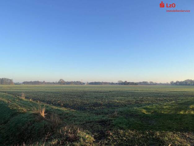 Land-/Forstwirtschaft zum Kauf 40.990 m² Grundstück Hammesdamm Lastrup 49688