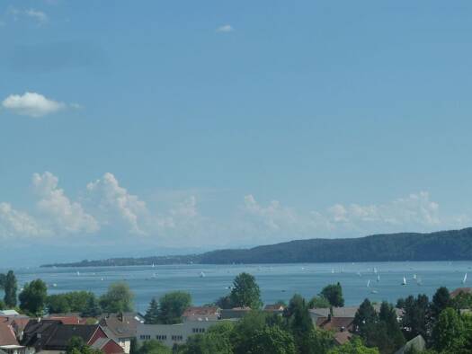 Terrassenwohnung zur Miete 710 € 1 Zimmer 53 m² Geschoss EG/2 frei ab 01.12.2025 Ludwigshafen Bodman-Ludwigshafen 78351