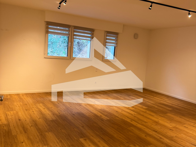 Wohnung zur Miete 561 € 1 Zimmer 46,8 m² EG frei ab 01.10.2025 Ruwer Trier 54292