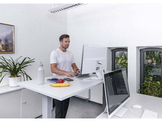 Bürofläche zur Miete provisionsfrei 25 € 29 m² Bürofläche Behlertstraße Nördliche Innenstadt Potsdam 14467
