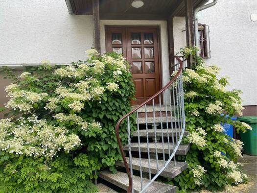 Einfamilienhaus zum Kauf 490.000 € 6 Zimmer 135 m² 810 m² Grundstück frei ab sofort Prieros Heidesee 15754