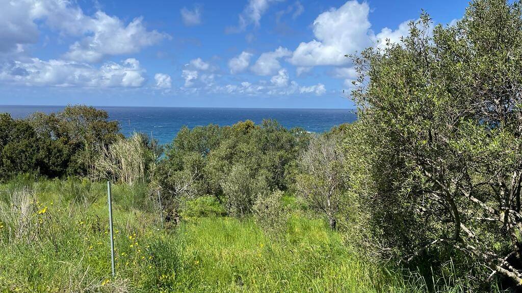 Land-/Forstwirtschaft zum Kauf 1.180.000 € 9.150 m² Grundstück Korfu