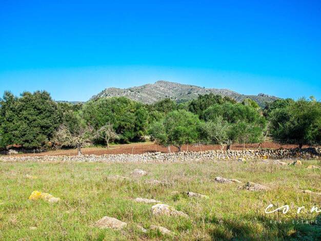 Grundstück zum Kauf 480.000 € 18.223 m² Grundstück Artà 07570