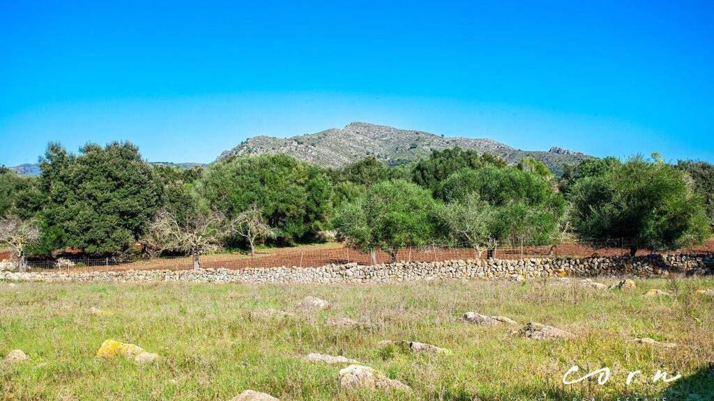 Grundstück zum Kauf 480.000 € 18.223 m² Grundstück Artà 07570