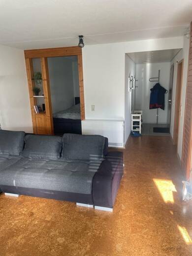 Wohnung zur Miete 525 € 1,5 Zimmer 47 m² 1 Geschosse frei ab sofort Ebingen Albstadt 72458