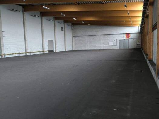 Lagerhalle zur Miete 4 € 2.000 m² Lagerfläche Geesthacht 21502