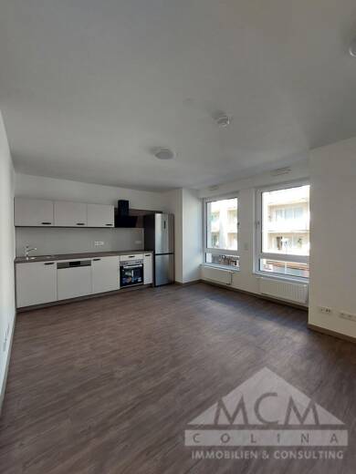 Wohnung zur Miete 815 € 1 Zimmer 35 m² EG Wilhelmschule Offenbach 63065