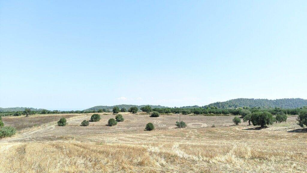 Land-/Forstwirtschaft zum Kauf 170.000 € 12.000 m² Grundstück Chalkidiki