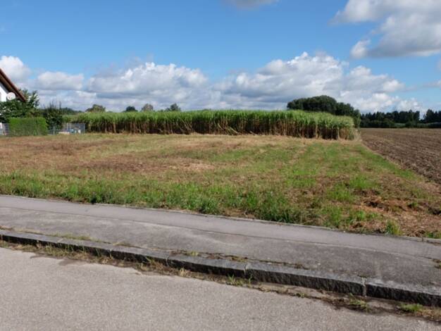 Grundstück zum Kauf 743 m² Grundstück frei ab sofort Königsfeld Wolnzach 85283