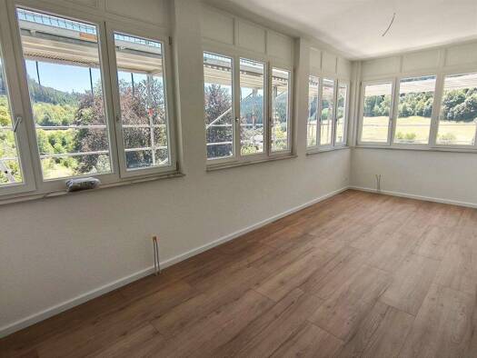 Wohnung zur Miete 610 € 2 Zimmer 48,5 m² frei ab 01.11.2026 Stadtgebiet Vöhrenbach 78147