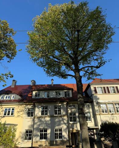 Wohnung zum Kauf provisionsfrei 274.500 € 3 Zimmer 73 m² Dachgeschoss, 2. Geschoss frei ab sofort Daberstedt Erfurt 99096