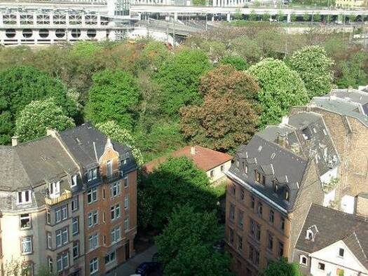 Wohnung zum Kauf als Kapitalanlage geeignet 189.000 € 1 Zimmer 30 m² Altstadt Mainz 55116