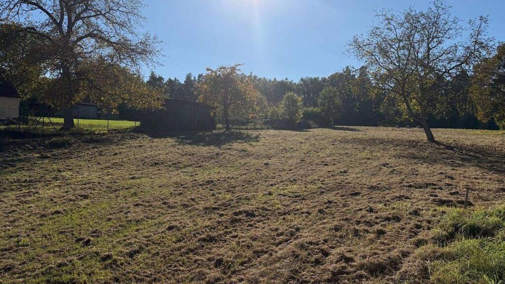 Grundstück zum Kauf 271.510 € 2.858 m² Grundstück Buch Buch am Wald 91592